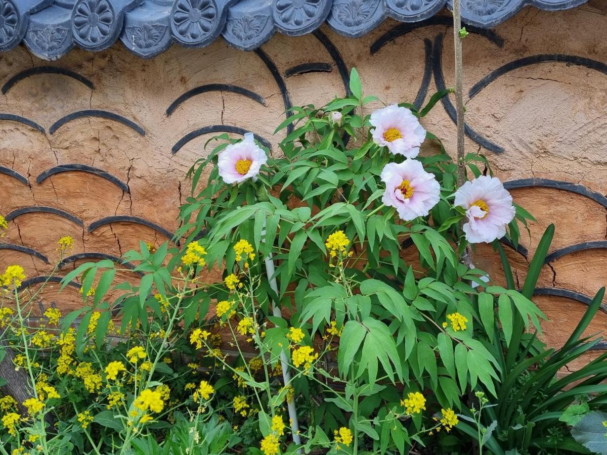 Dasomchae Hanok Stay Gwangju Metropolitan City Екстер'єр фото
